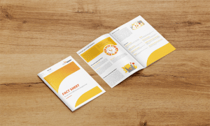 DataGerry-Factsheet-Mockup-Hintergrund